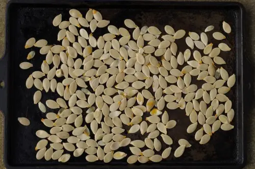Raw pumpkin seeds on cookie sheet