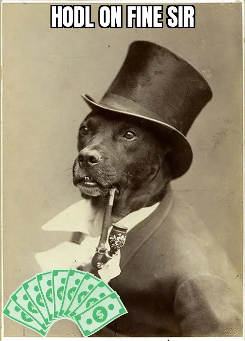 Memegeneratordog