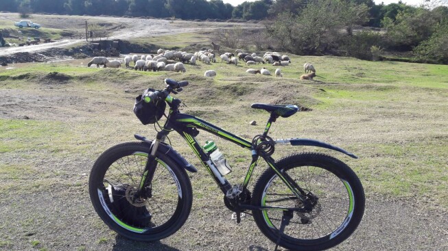 Sport, Cycling, Photography of Nature