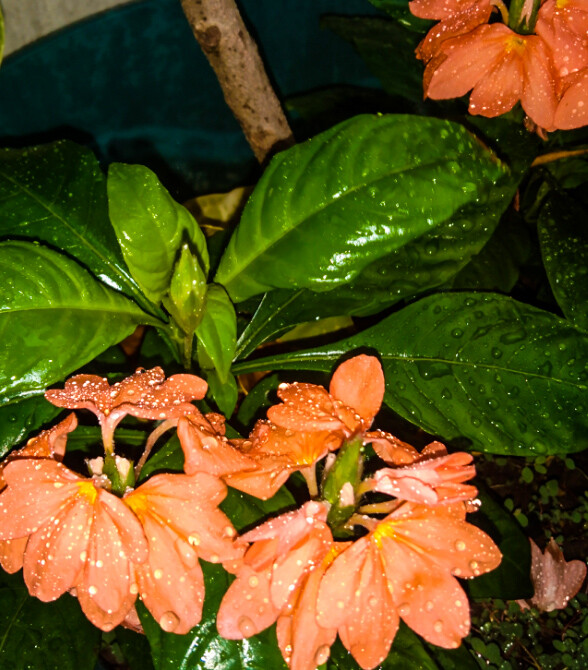 5b265384ee6afdae6bdb2fd9584d8724fdb99b010638196238220daa3c42eaf4.jpeg