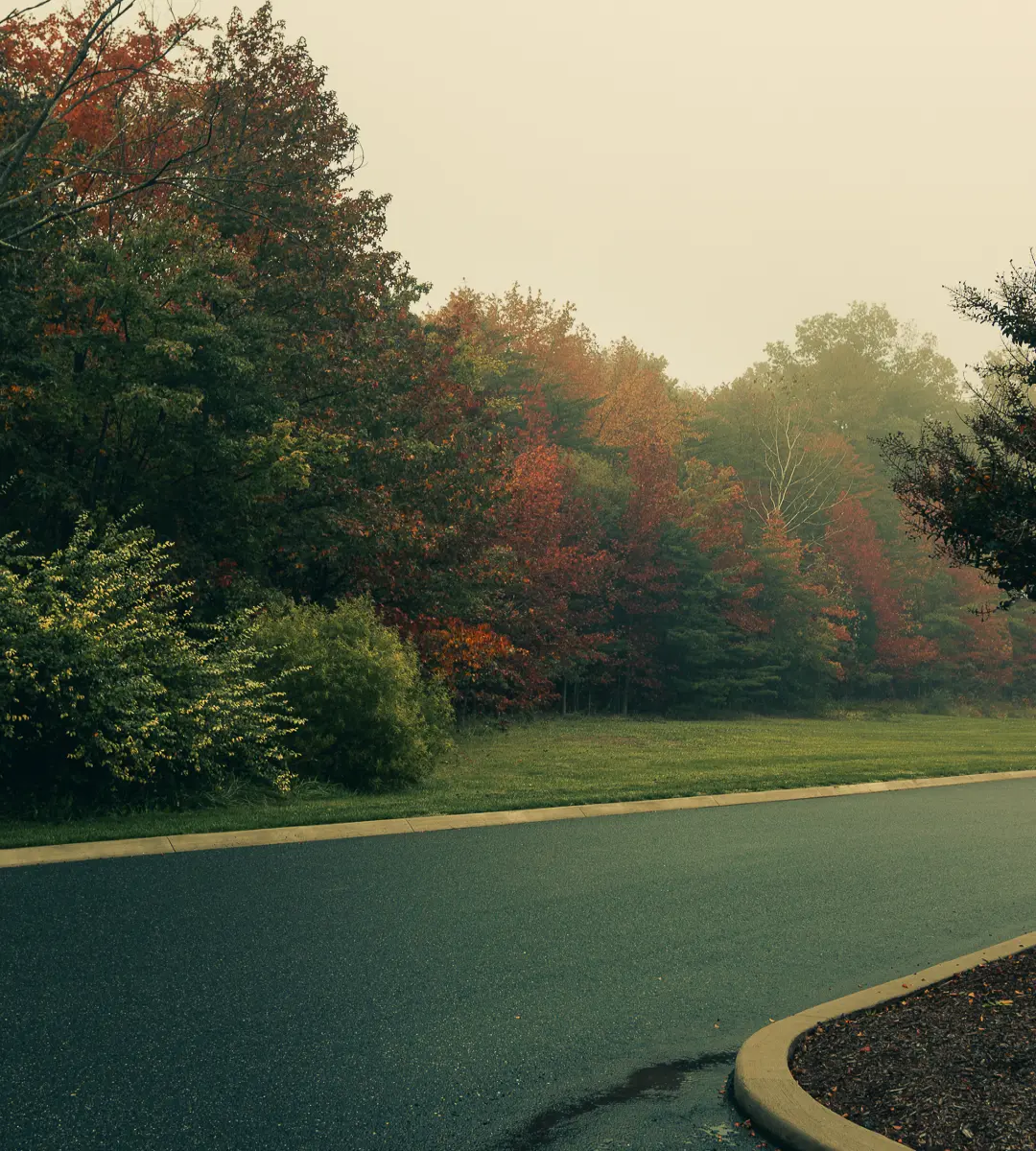 Morning walk in the fog