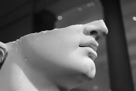 Oracle Bust
