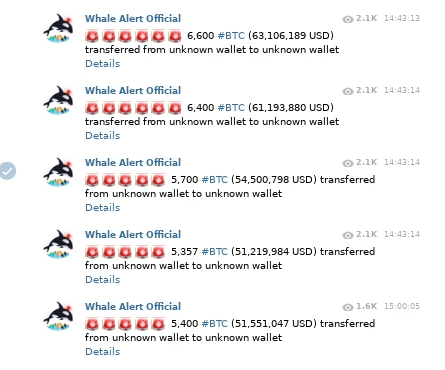 351665157-66954d1e8b6549b3e7a03b728669ae75e3728e2b239681c53fc53367a30c50d2.png