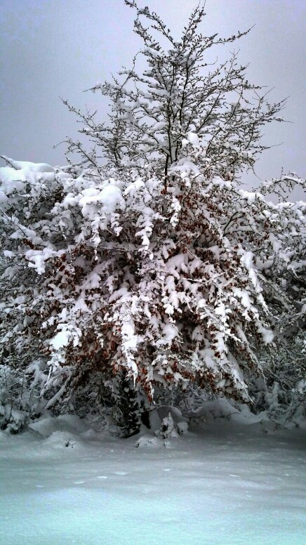 Photography of Nature, Snow, Real Life story