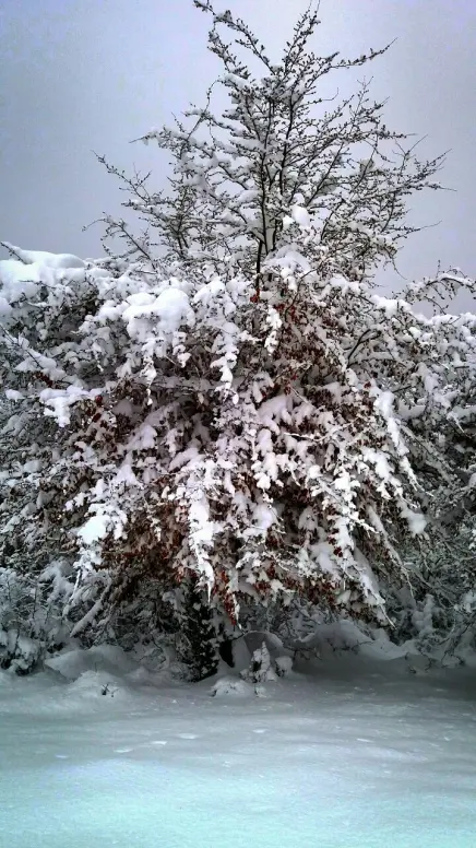 Photography of Nature, Snow, Real Life story