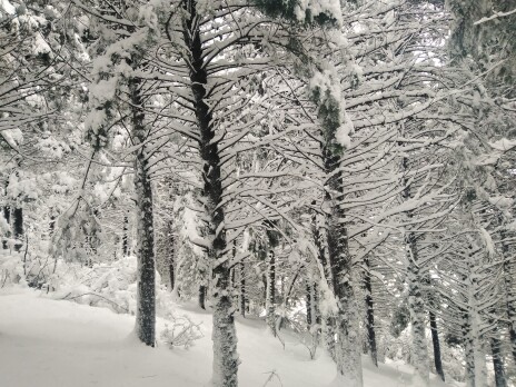 Photography of Nature, Snow, Real Life story