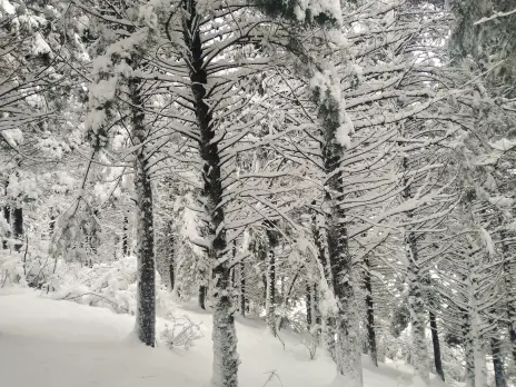 Photography of Nature, Snow, Real Life story