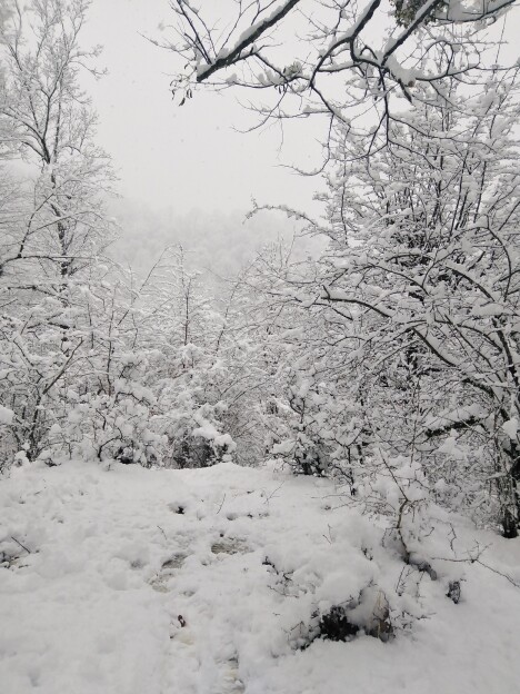 Photography of Nature, Snow, Real Life story