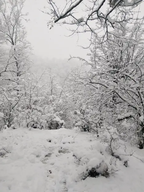 Photography of Nature, Snow, Real Life story