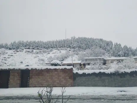 Photography of Nature, Snow, Real Life story
