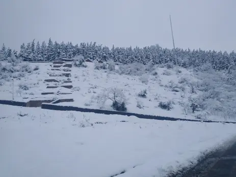 Photography of Nature, Snow, Real Life story