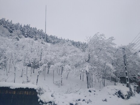 Photography of Nature, Snow, Real Life story