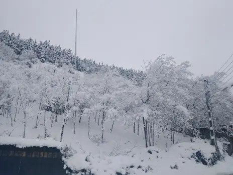 Photography of Nature, Snow, Real Life story
