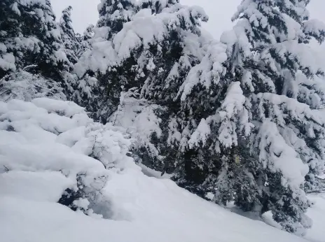 Photography of Nature, Snow, Real Life story