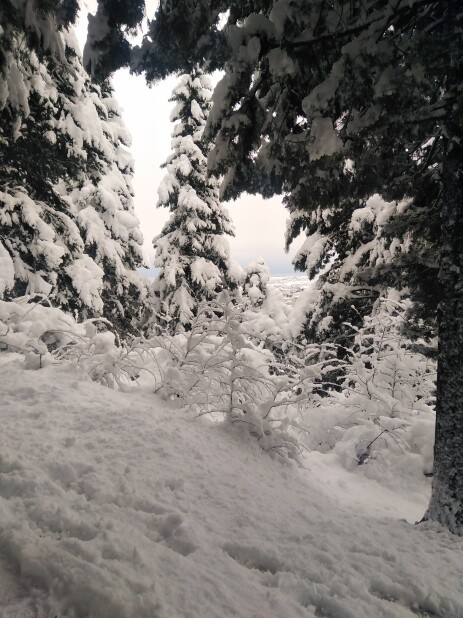 Photography of Nature, Snow, Real Life story