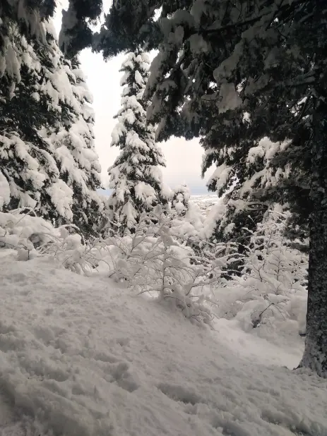 Photography of Nature, Snow, Real Life story