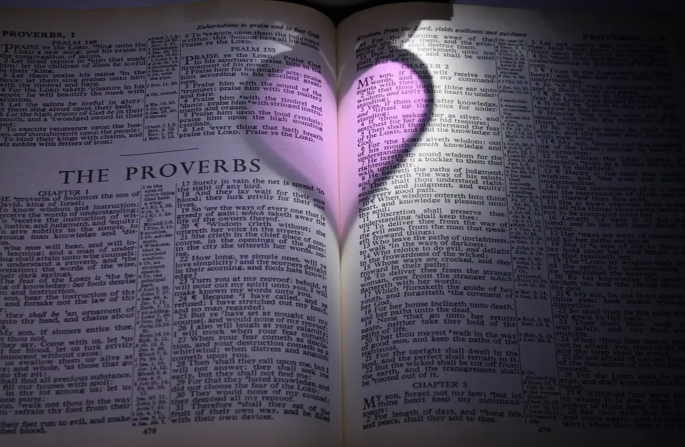 The Proverbs
