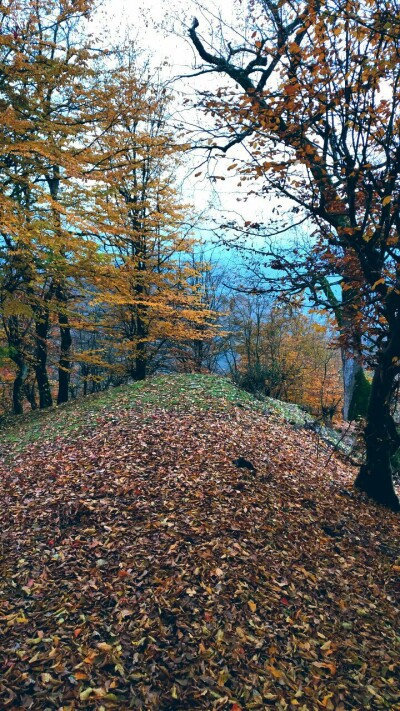 Photography of Nature, autumn, Real Life story