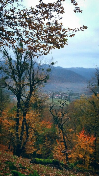 Photography of Nature, autumn, Real Life story