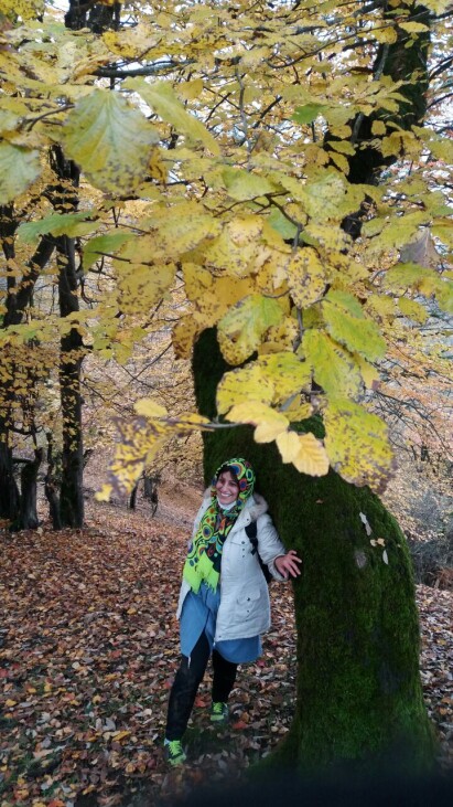 Photography of Nature, autumn, Real Life story