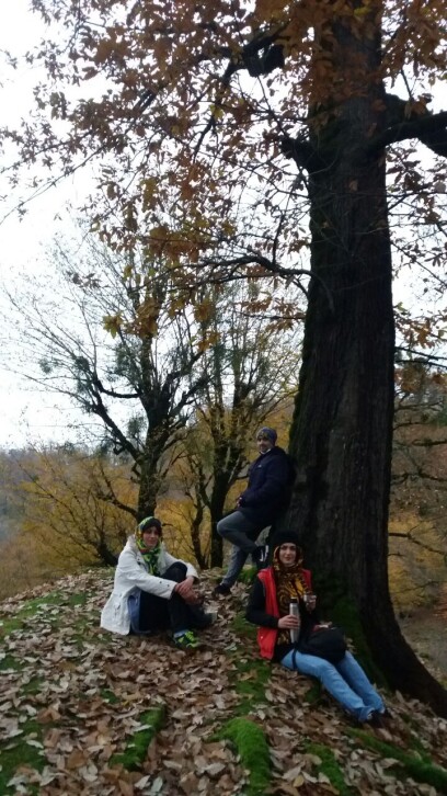 Photography of Nature, autumn, Real Life story