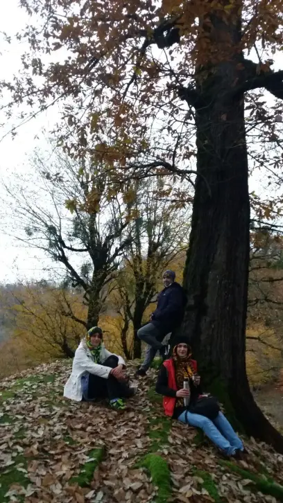 Photography of Nature, autumn, Real Life story