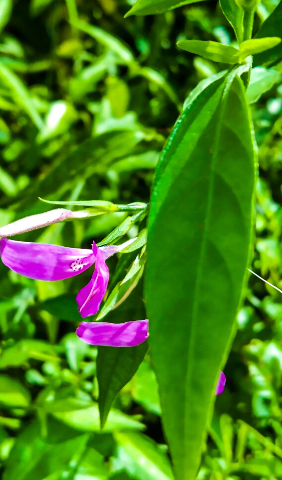 59a0768ebf1ad4d319c873446c1be9d7efb9992337fc57ebaa1b34d6fe77ec6d.jpeg