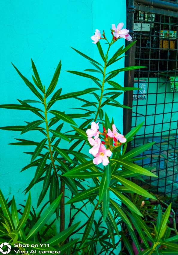 6b16b7f2de0bcf5d2b64d0bdbb45dc242e7e5ef6c2b00f8ba3abd9f55a989032.jpeg