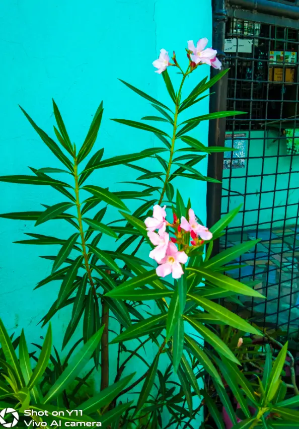 6b16b7f2de0bcf5d2b64d0bdbb45dc242e7e5ef6c2b00f8ba3abd9f55a989032.jpeg