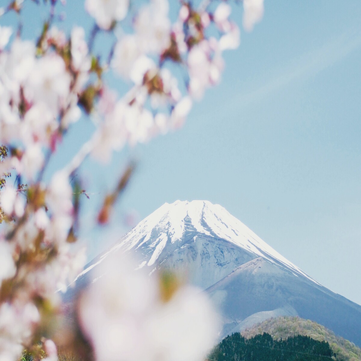 https://unsplash.com/photos/58TJ5U21byY?utm_source=unsplash&utm_medium=referral&utm_content=creditShareLink