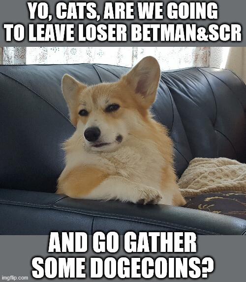 1767759e20e861c0627336b242e22864818f43fa0b622c2e671fc95bd5024f20.jpeg