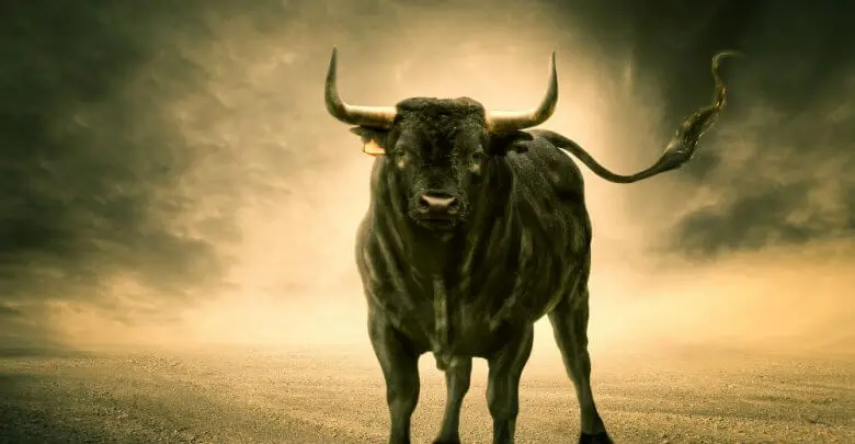 Bull Run
