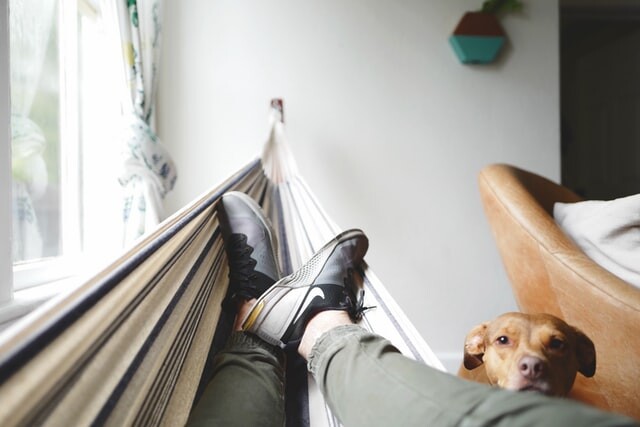 Hammock
