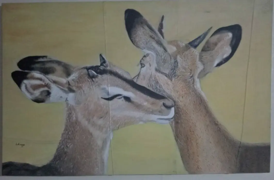 Dear deer, Darling