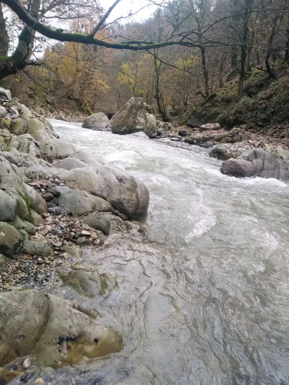 Photography of Nature, river, Real Life story