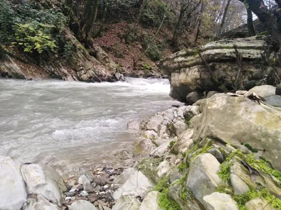 Photography of Nature, river, Real Life story