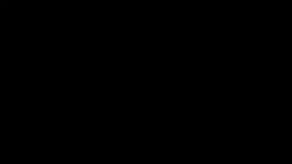 c42f0ba63aeffdc303f5ca59bce550b9b82c0548faa3f967ca605555d950dd93.gif