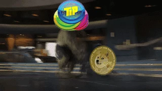 351665157-c4ad931baaff4e77e020dd38040201a53dbb2b2e39a7f7fed8c256842990a806.gif