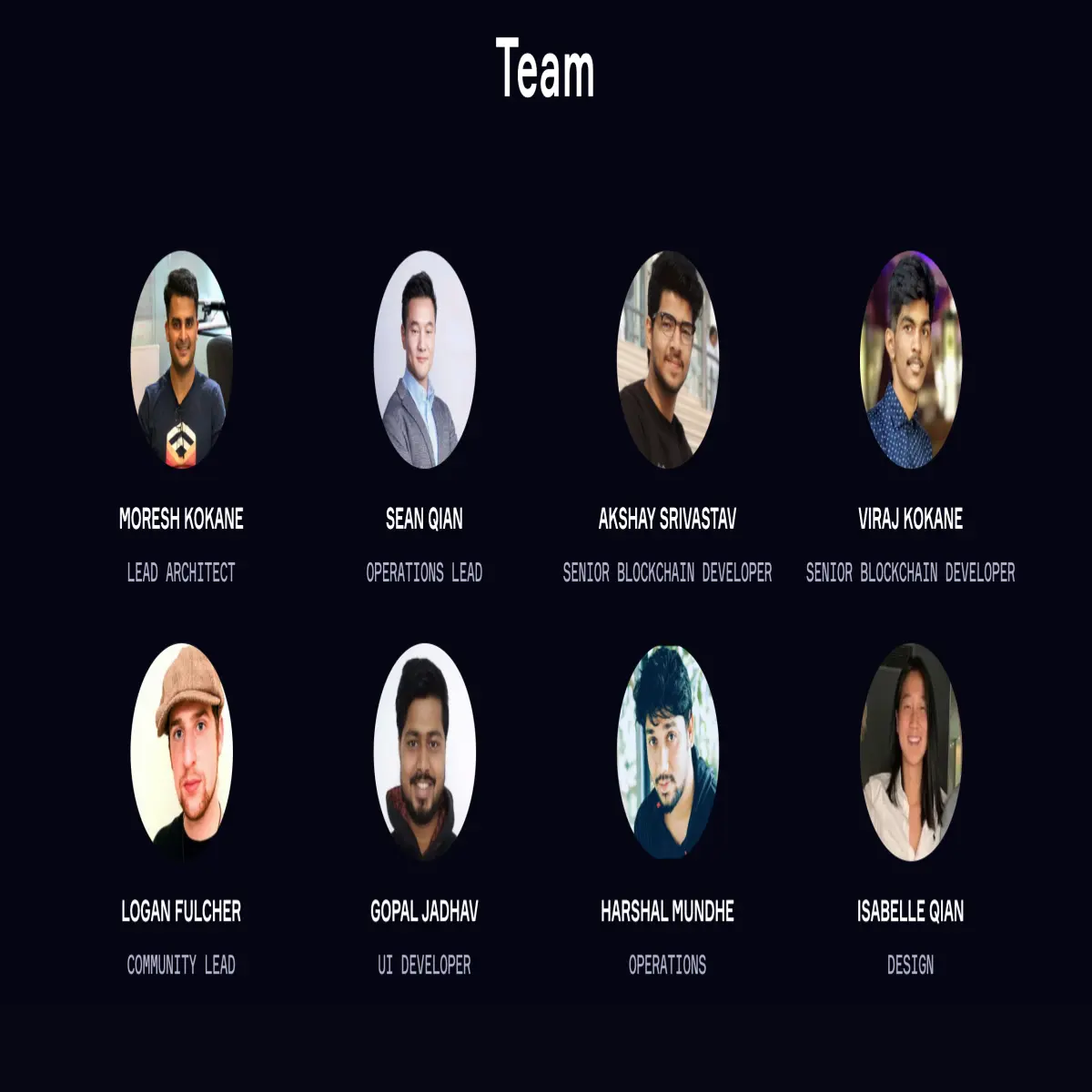 The OpenDAO Team as seen on OpenDAO.io