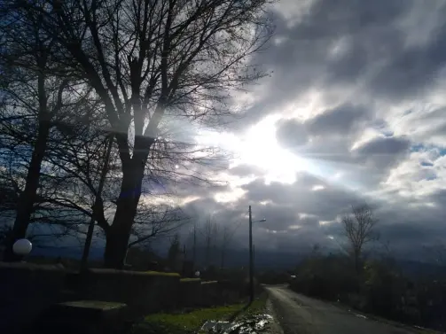 Sport, Cycling, Photography of Nature