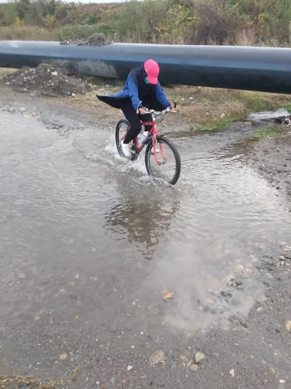 Sport, Cycling, Photography of Nature
