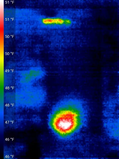 Rear view of the Green hive in infrared