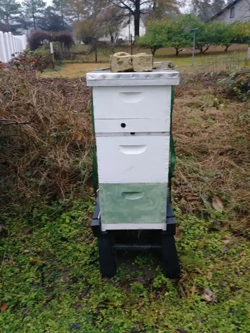 Rear view of the Green hive
