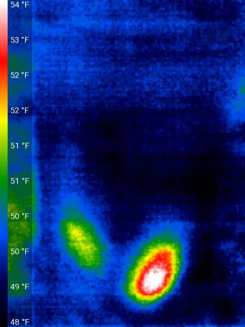 Front view of White hive in infrared
