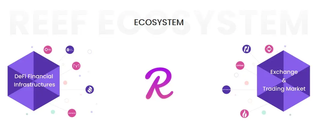 Reef Ecosystem