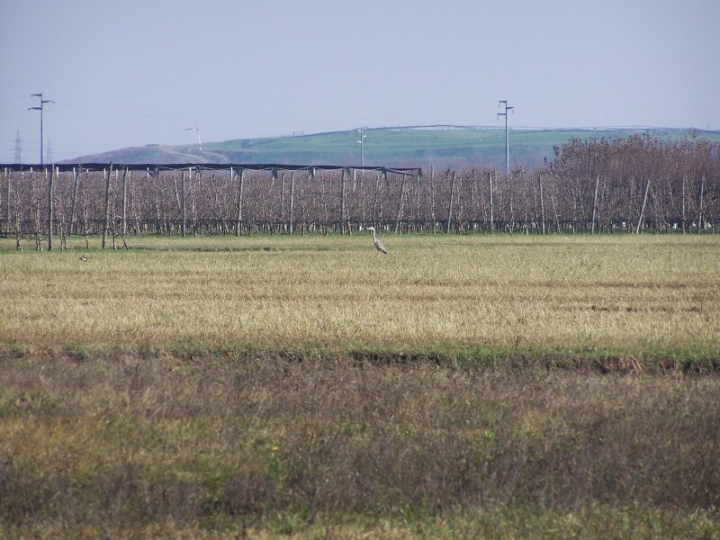 c4351b2dd03522e30982a57901caa052c130f8a8fa1d825f158fcb0b2f886378.jpeg