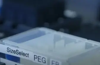 597fd74777bbe68377b92a05ceae9474a866f95a02543aec5014bb46a13c8d14.jpeg