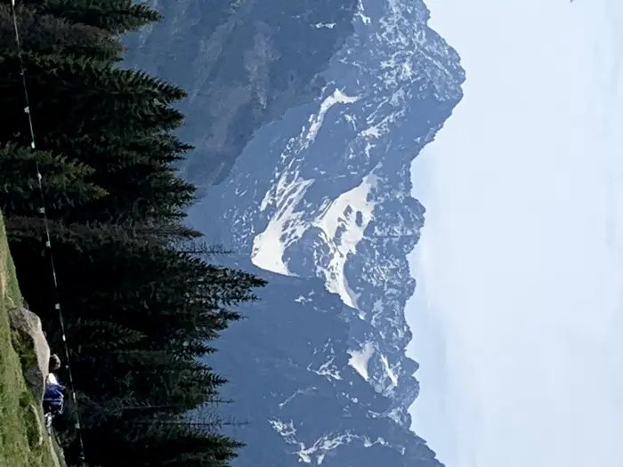 2a27bcd46258fc184ef8b452662ba084b0e4118b47cfa7c89d308c88488690b6.jpeg
