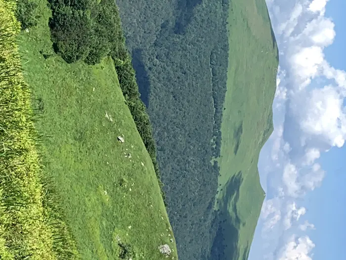 0e27310a0865d52ece8cec6203c15497122459be75f952b0a85f91307d89852c.jpeg