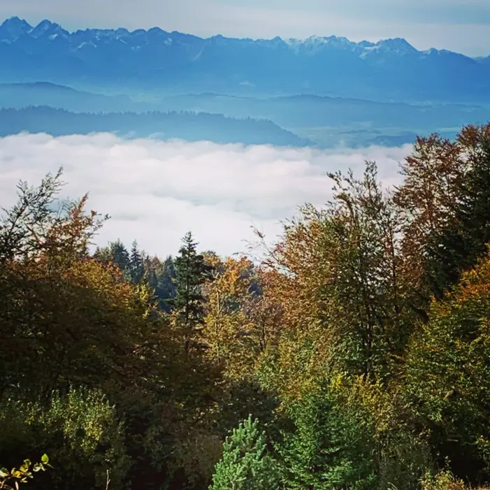 The Tatras viewed from the Gorce mts, Poland